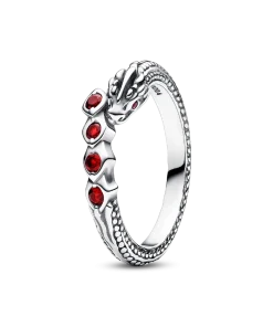 Alternative view of Game of Thrones Ring Set