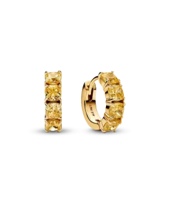 Yellow Hoop Earrings