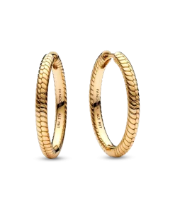 Pandora Moments Charm Hoop Earrings