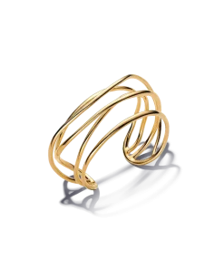 Organically Shaped Wired Open Bangle