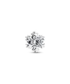 Snowflake Charm