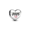 2025 Charm